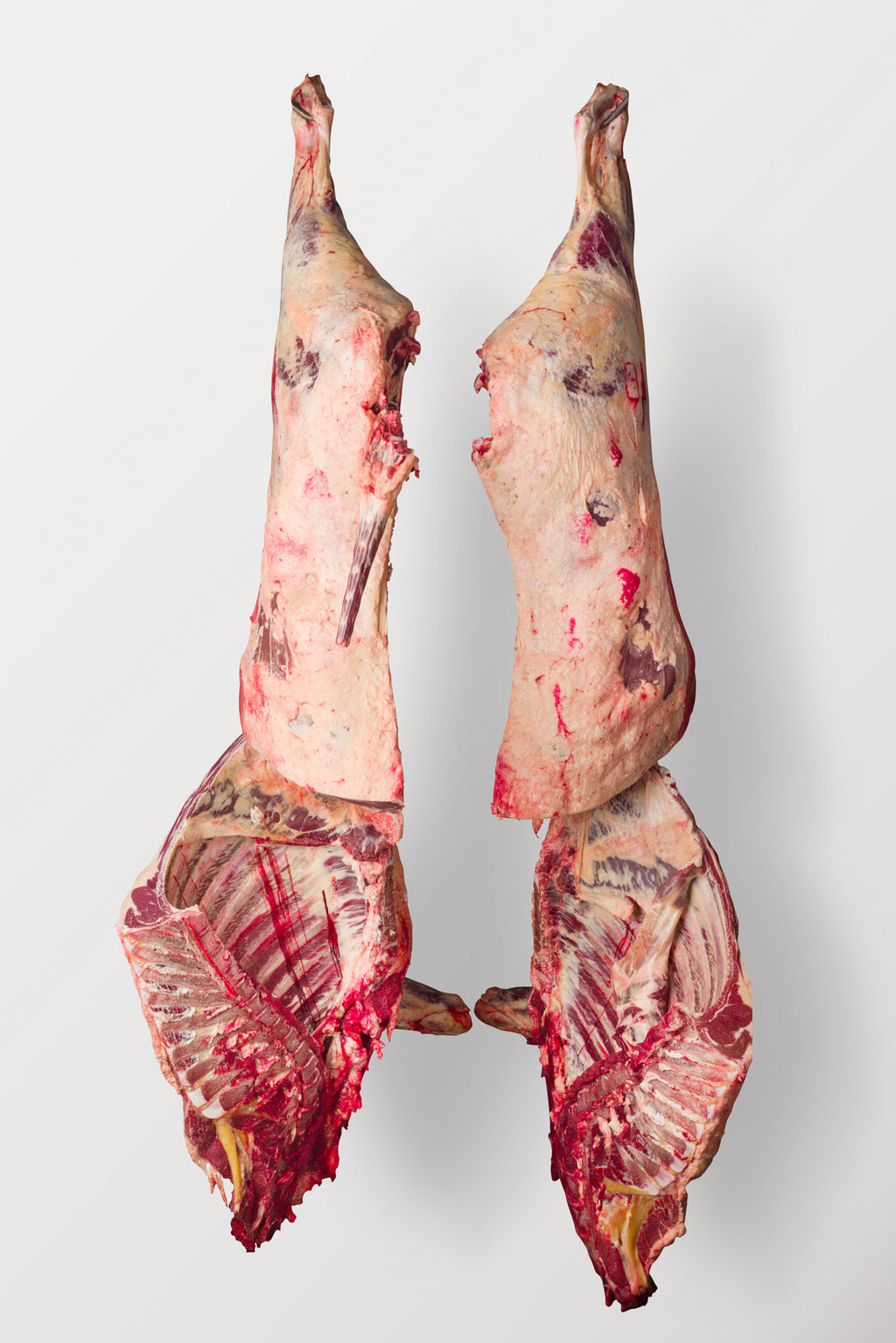 Whole Beef or Half Beef