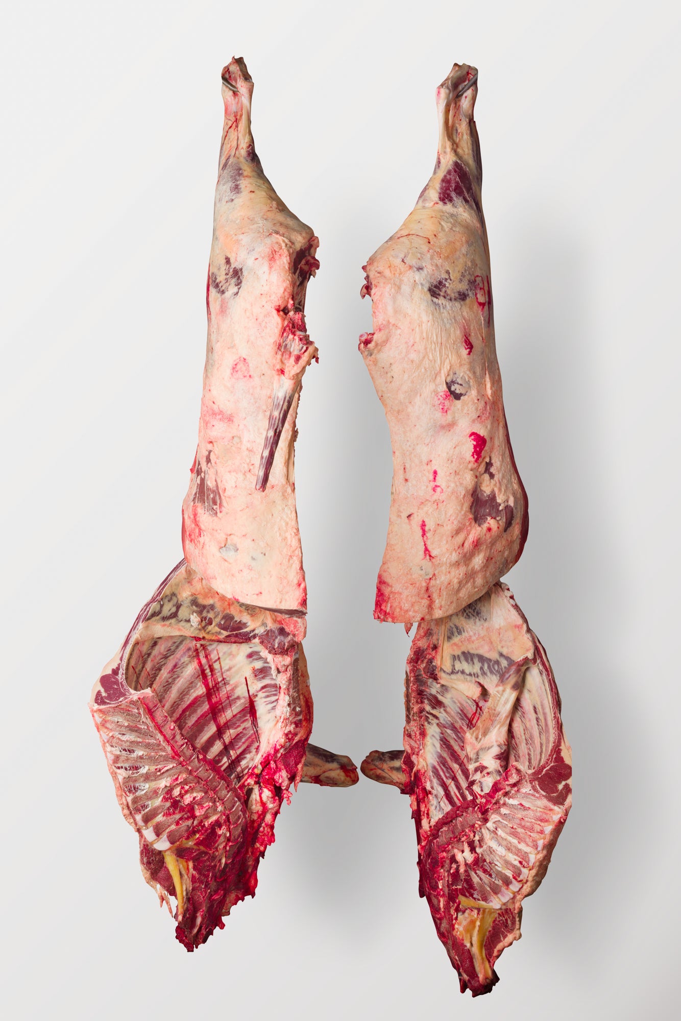 Whole Beef or Half Beef