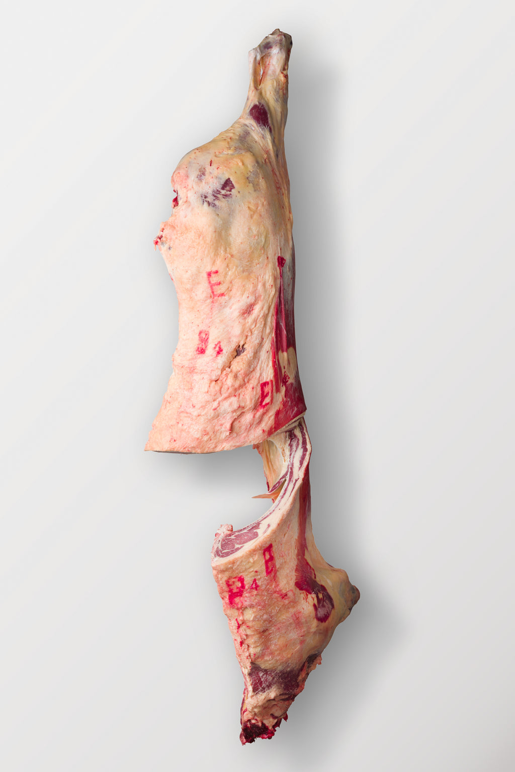 Whole Beef or Half Beef