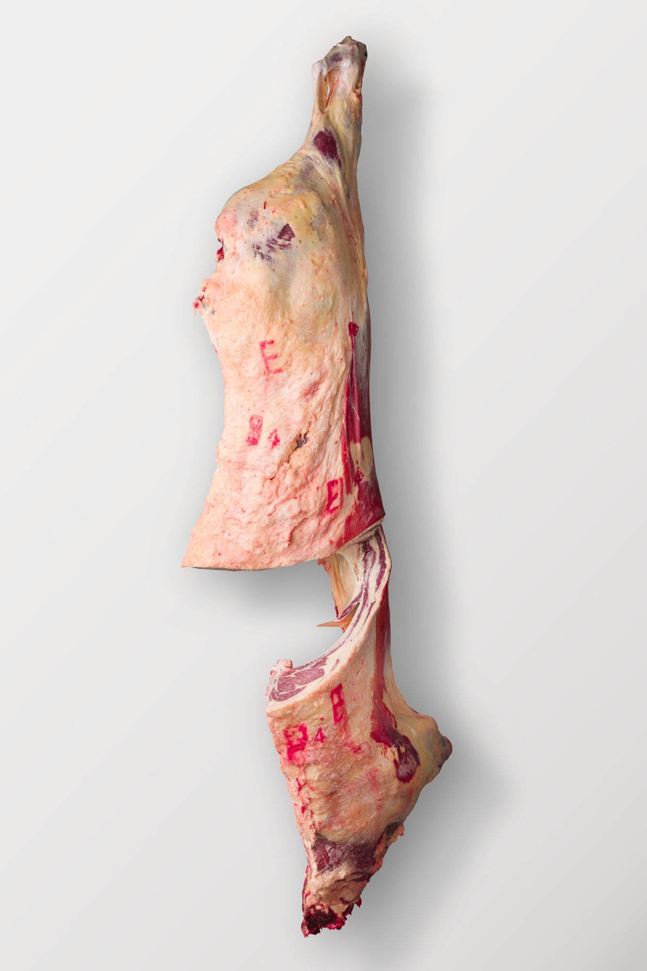 Whole Beef or Half Beef