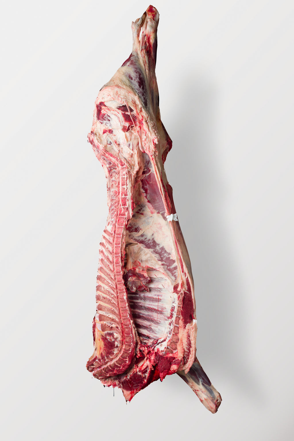 Whole Beef or Half Beef