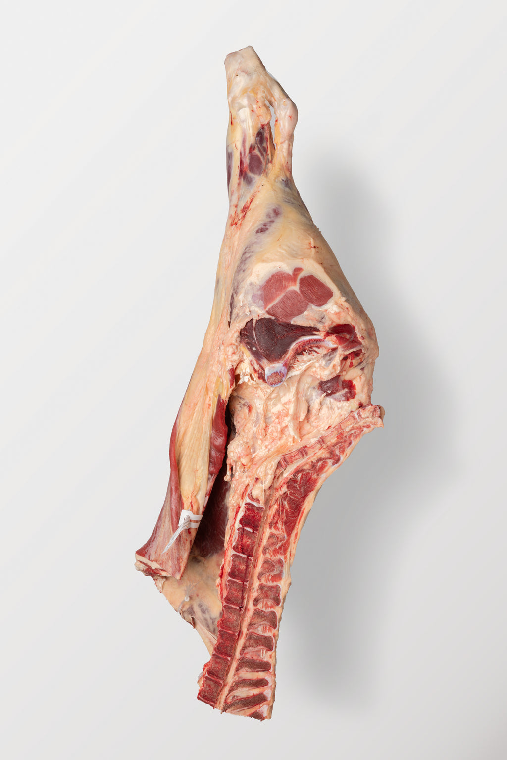 Beef Hindquarter