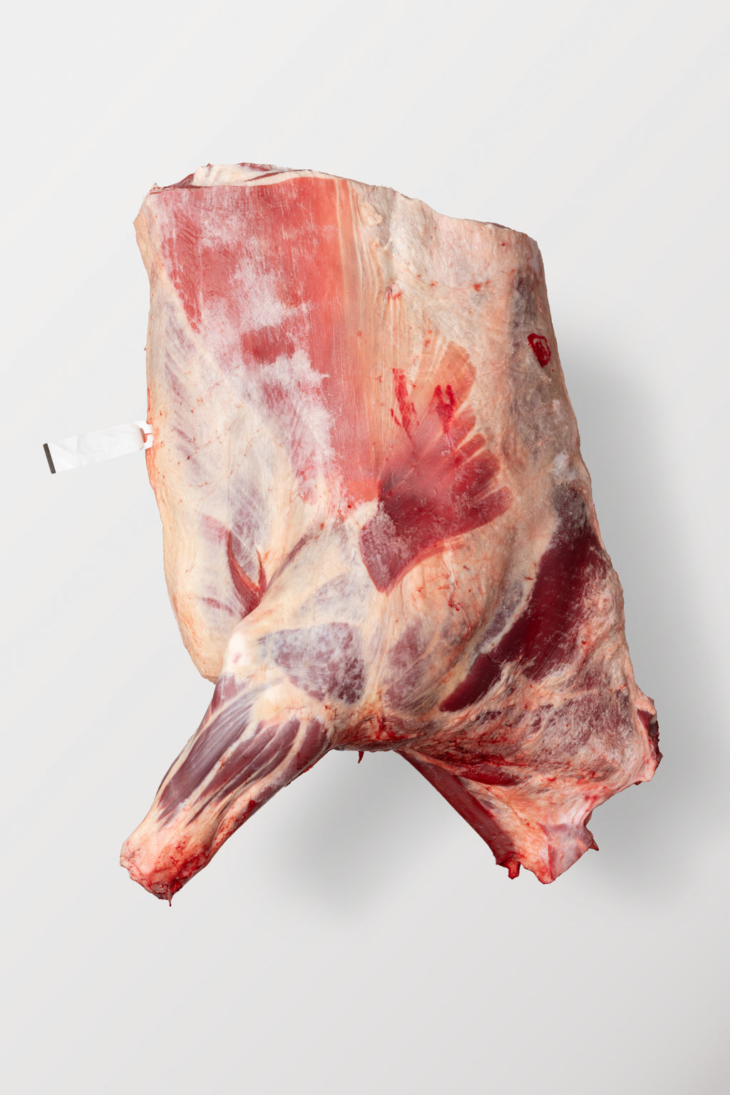 Beef Forequarter
