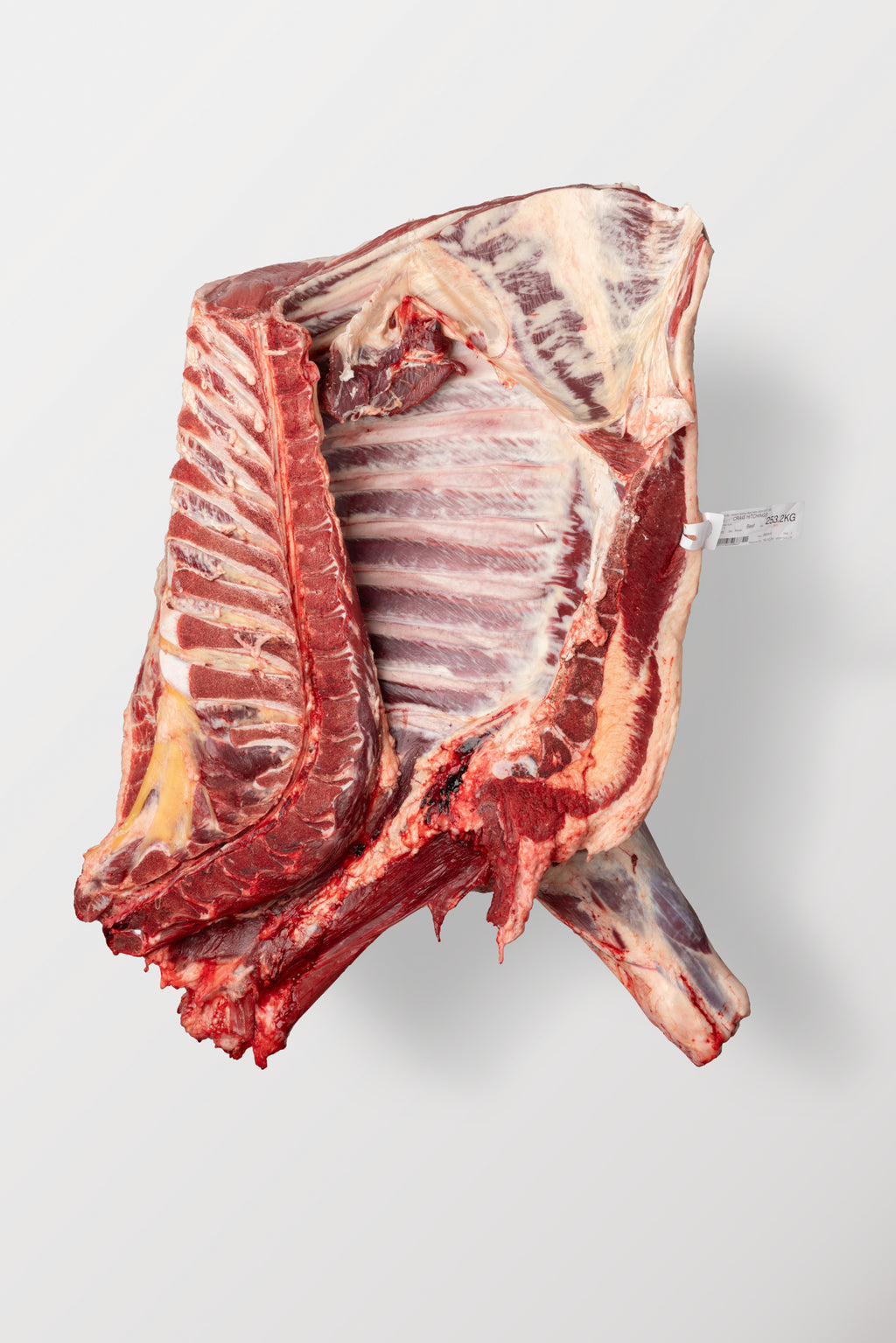 Beef Forequarter