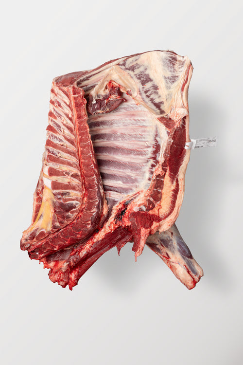 Beef Forequarter